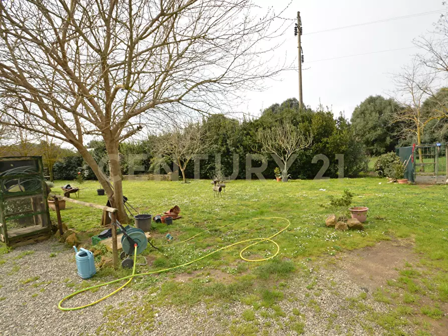 Immagine 7 di Rustico / casale in vendita  in Via Maria Alessandra Barbantini 8 a Grosseto