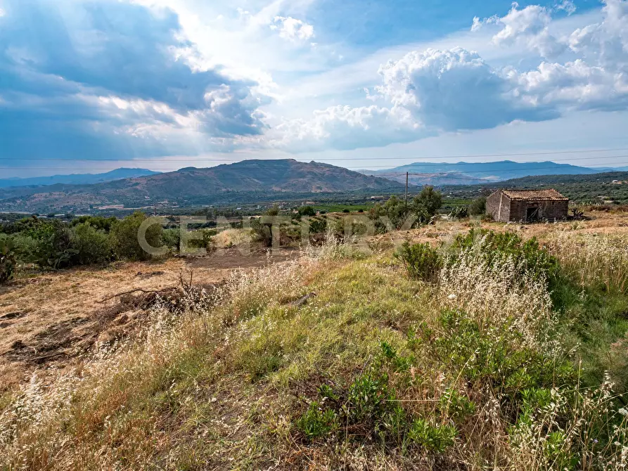 Immagine 45 di Terreno agricolo in vendita  in Via San Leo a Adrano
