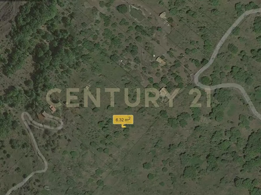 Immagine 15 di Terreno agricolo in vendita  in C.da Filiciusa a Biancavilla