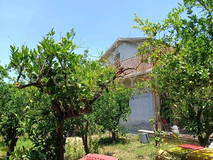 Immagine 14 di Terreno agricolo in vendita  in Contrada Agnelleria a Belpasso