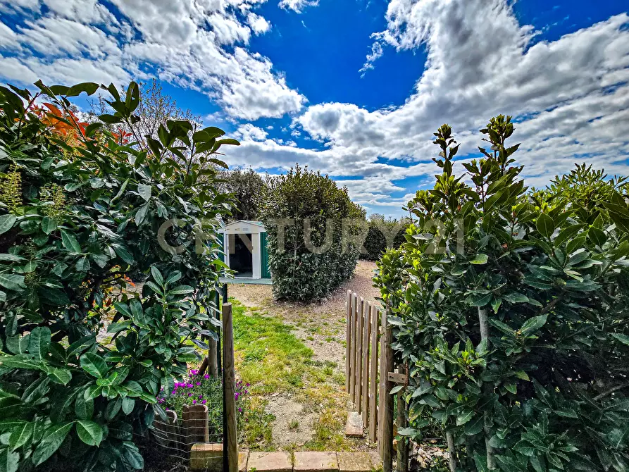 Immagine 4 di Rustico / casale in vendita  in podere poderina 5 a Civitella Paganico