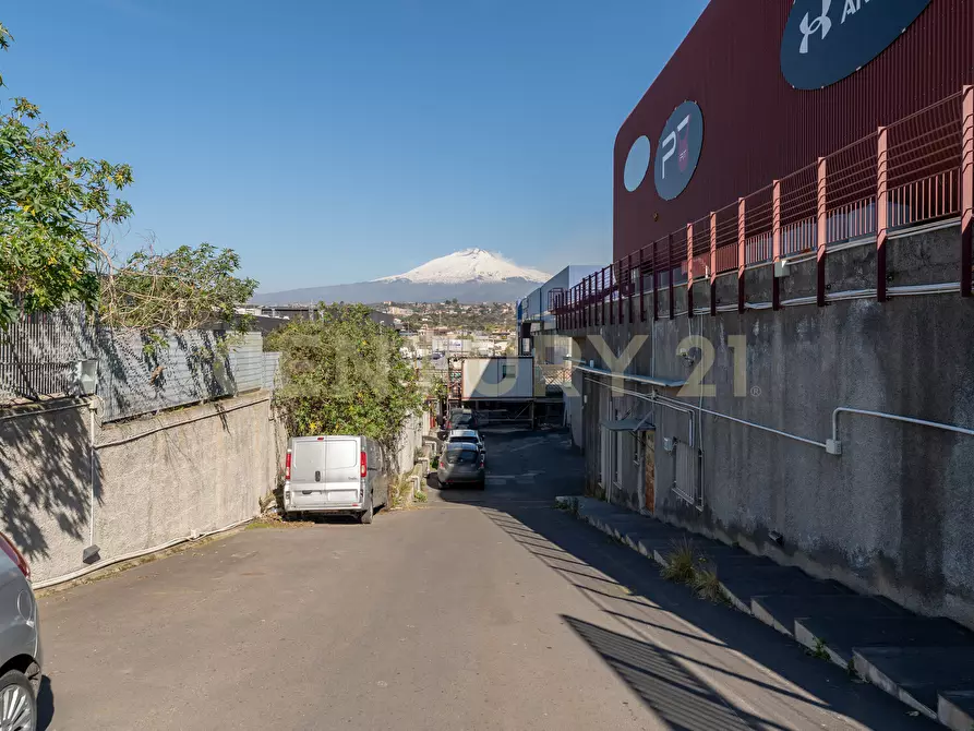 Immagine 14 di Attività commerciale in vendita  in Viale del Commercio a Misterbianco