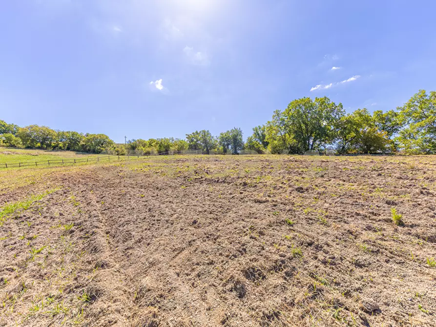 Immagine 27 di Rustico / casale in vendita  in località san quirichello a Barbarano Romano