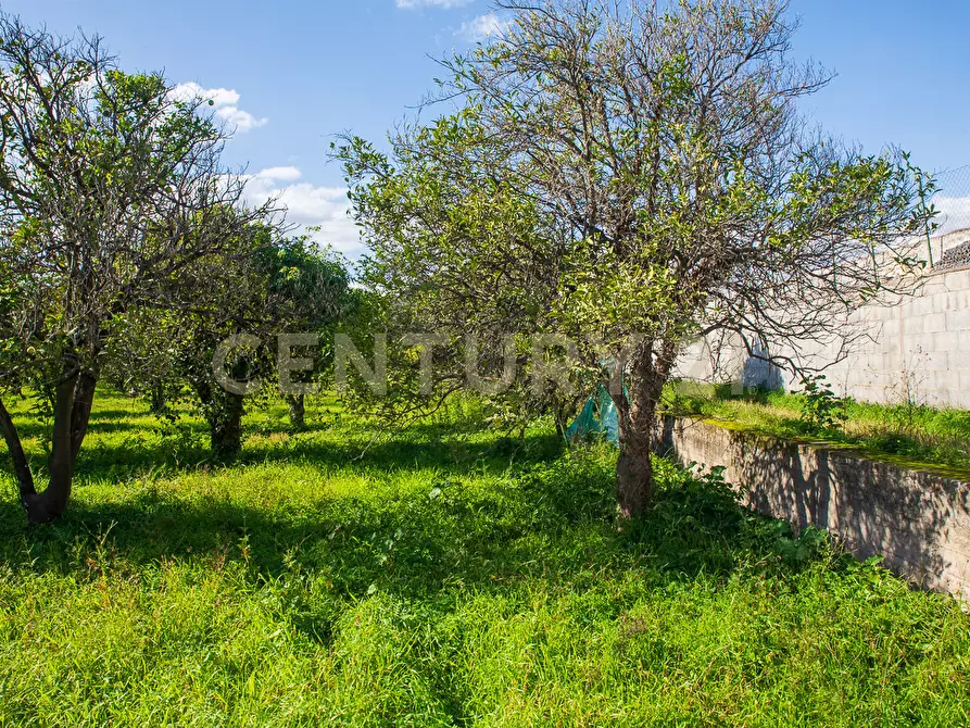 Immagine 11 di Terreno agricolo in vendita  in Via San Piero Patti 108 a Acireale