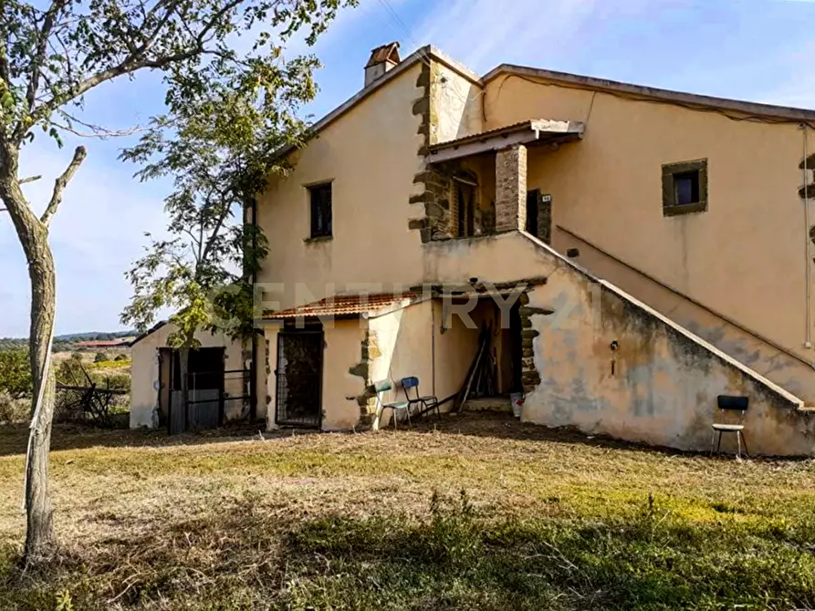 Immagine 2 di Rustico / casale in vendita  in località mandorlaie a Scansano