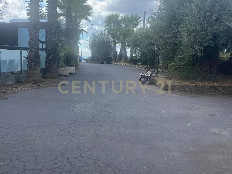 Immagine 2 di Pizzeria / Pub in vendita  in Via Alcide de Gasperi 110 a Mascalucia