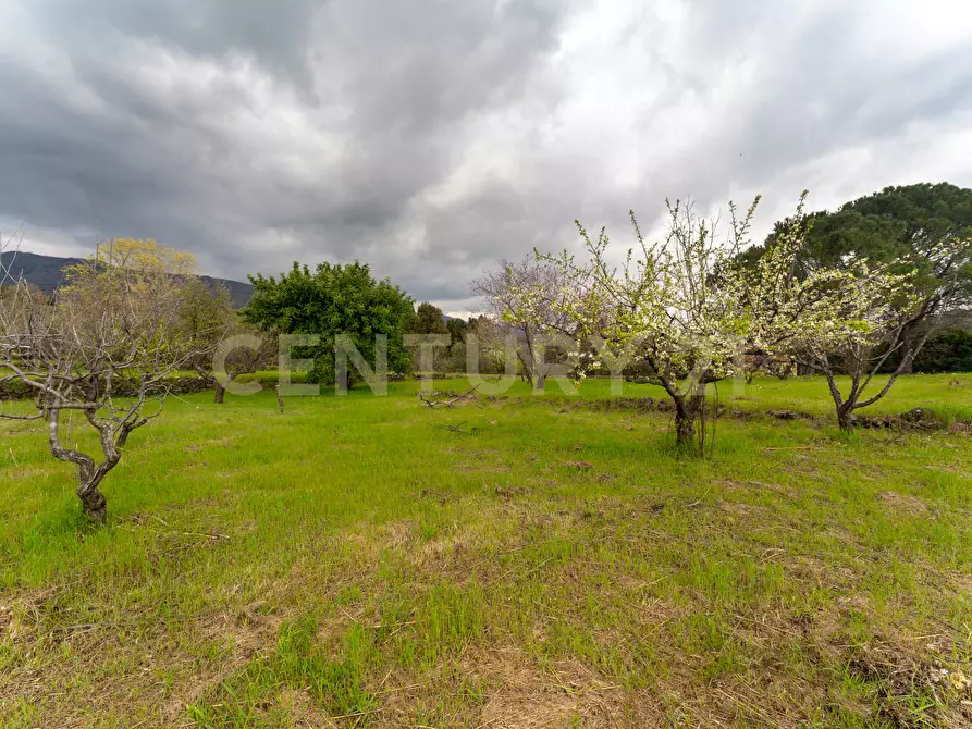 Immagine 22 di Casa indipendente in vendita  in Via Armando Diaz 83 a Zafferana Etnea