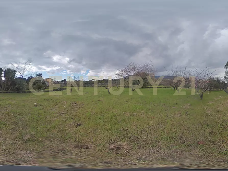 Immagine 28 di Casa indipendente in vendita  in Via Armando Diaz 83 a Zafferana Etnea