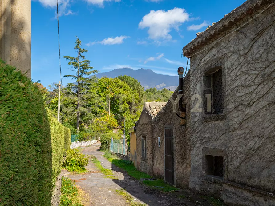 Immagine 56 di Villa in vendita  in Contrada Scolaro Cisterna a Adrano