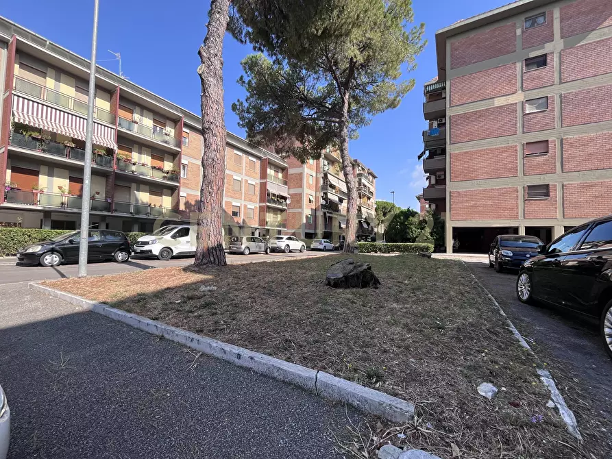Immagine 26 di Trilocale in vendita  in Via Giuseppe Toniolo 13 a Grosseto