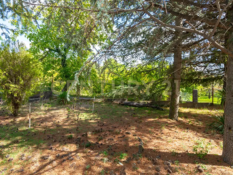 Immagine 9 di Villa in vendita  in Contrada Scolaro Cisterna a Adrano