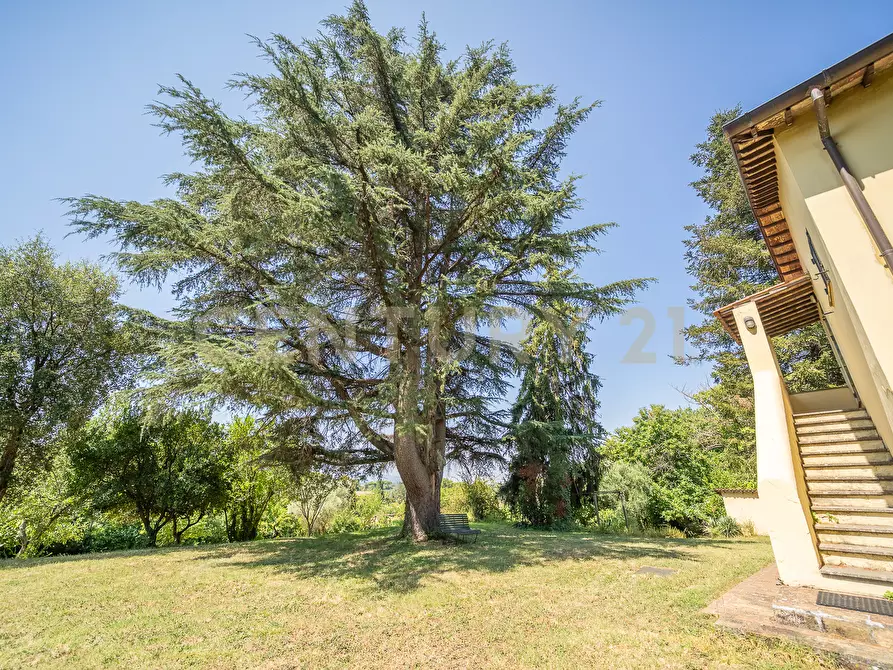 Immagine 33 di Villa in vendita  in Via Pedemontana 319 a Palestrina