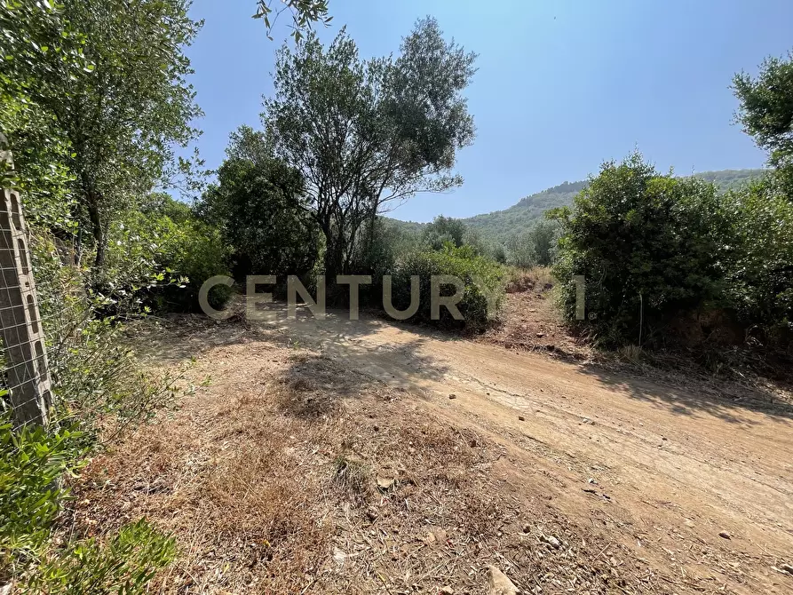 Immagine 11 di Rustico / casale in vendita  in località cannatelli snc a Monte Argentario