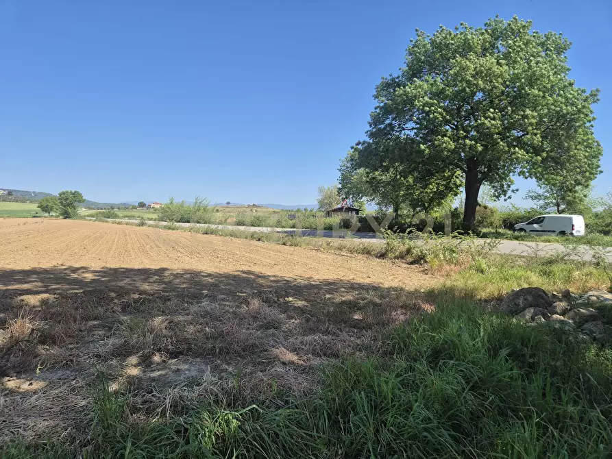 Immagine 7 di Terreno agricolo in vendita  in loc. Badia Vecchia a Castiglione Della Pescaia
