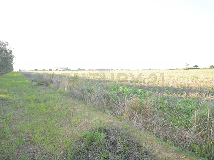 Immagine 27 di Terreno agricolo in vendita  in Strada del Querciolo 125 a Grosseto