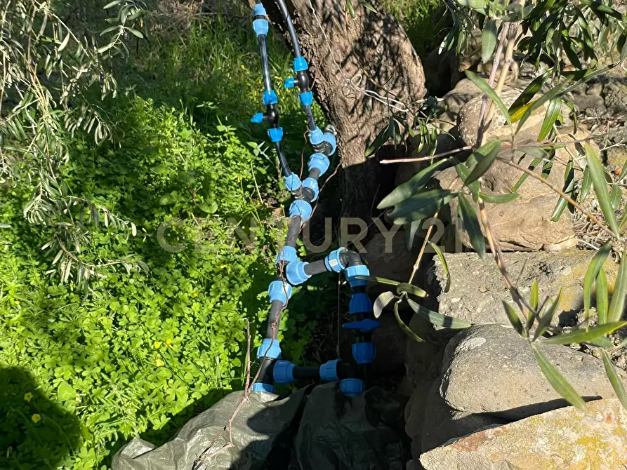 Immagine 36 di Terreno agricolo in vendita  in contrada agnelleria a Belpasso