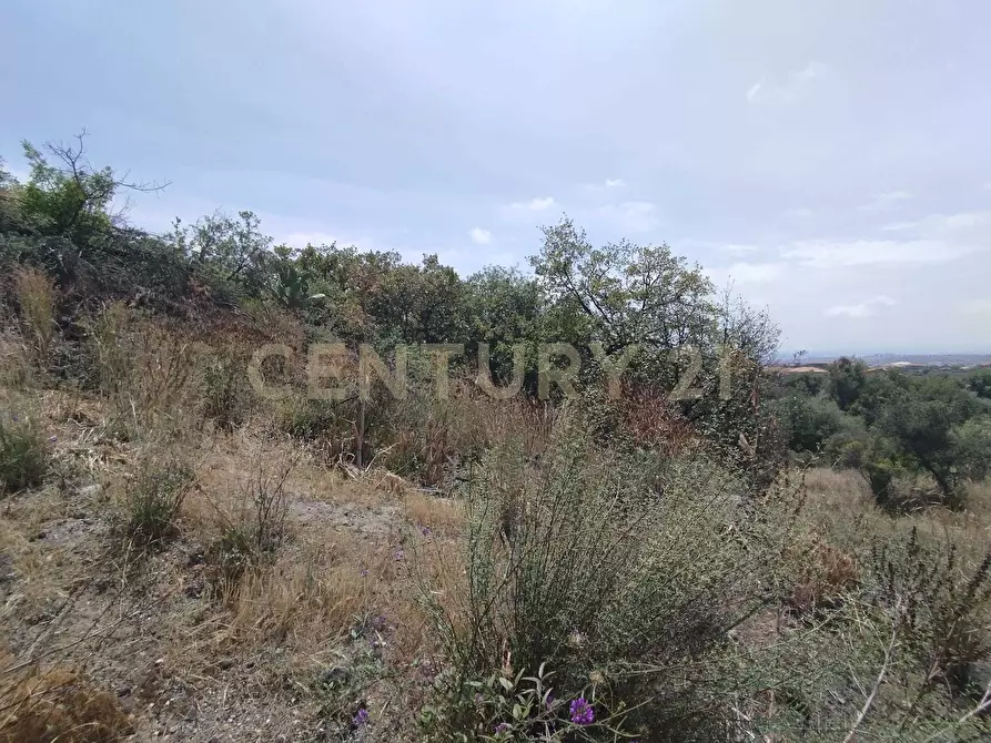 Immagine 15 di Terreno agricolo in vendita  in CONTRADA MANGIONE snc a Catania