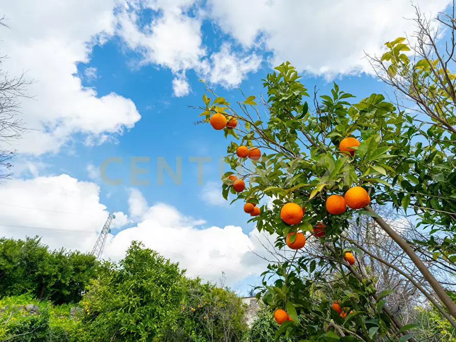 Immagine 29 di Terreno agricolo in vendita  in via giuseppe zinghirino 1 a Giarre