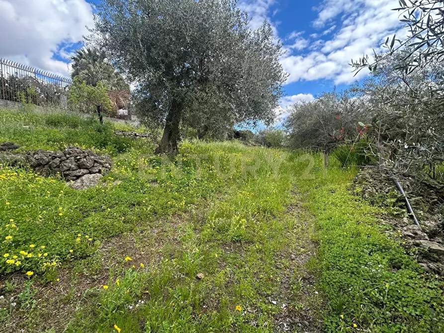 Immagine 32 di Terreno edificabile in vendita  in Viale Giovanni Falcone 9 a Camporotondo Etneo