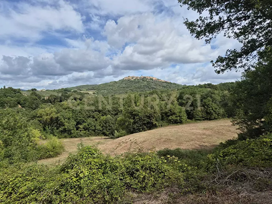 Immagine 4 di Terreno agricolo in vendita  in località la vena snc a Civitella Paganico