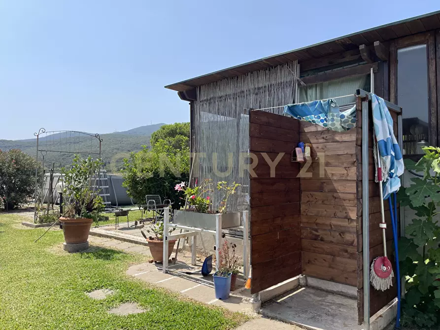 Immagine 25 di Terreno agricolo in vendita  in Strada Provinciale della Giannella a Orbetello