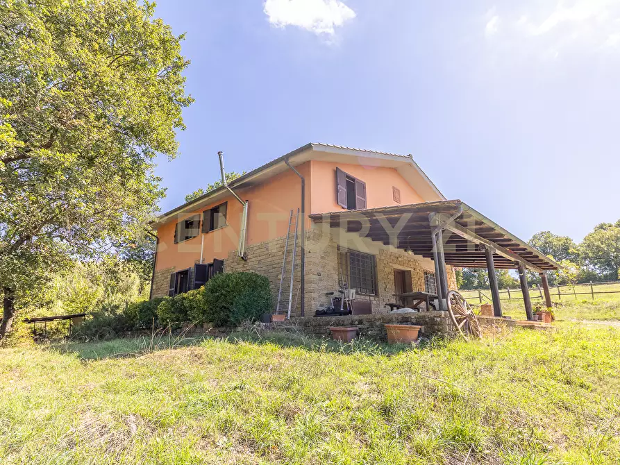 Immagine 6 di Rustico / casale in vendita  in località san quirichello a Barbarano Romano