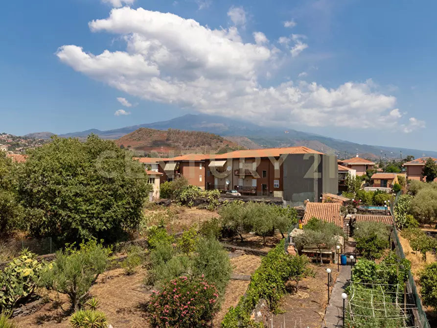 Immagine 50 di Pentalocale in vendita  in Via Vittorio Emanuele 181 a Viagrande