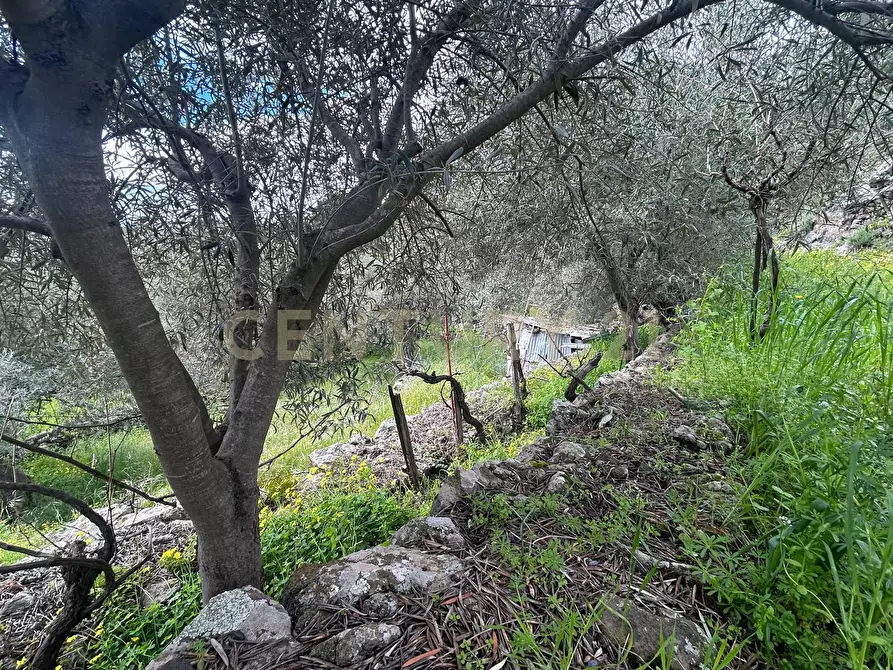 Immagine 26 di Terreno edificabile in vendita  in Viale Giovanni Falcone 9 a Camporotondo Etneo