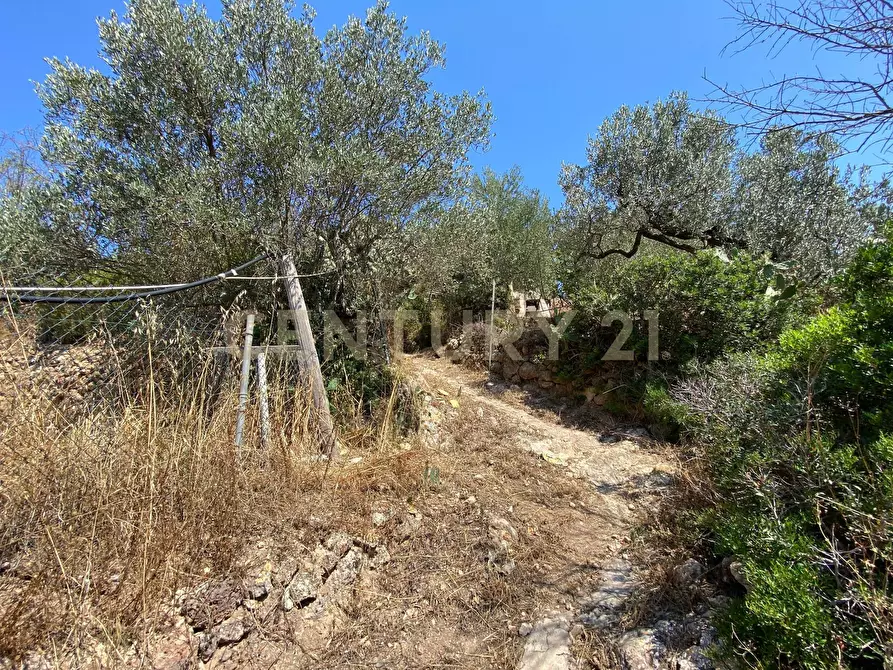 Immagine 13 di Rustico / casale in vendita  in Via del Campone 68A a Monte Argentario