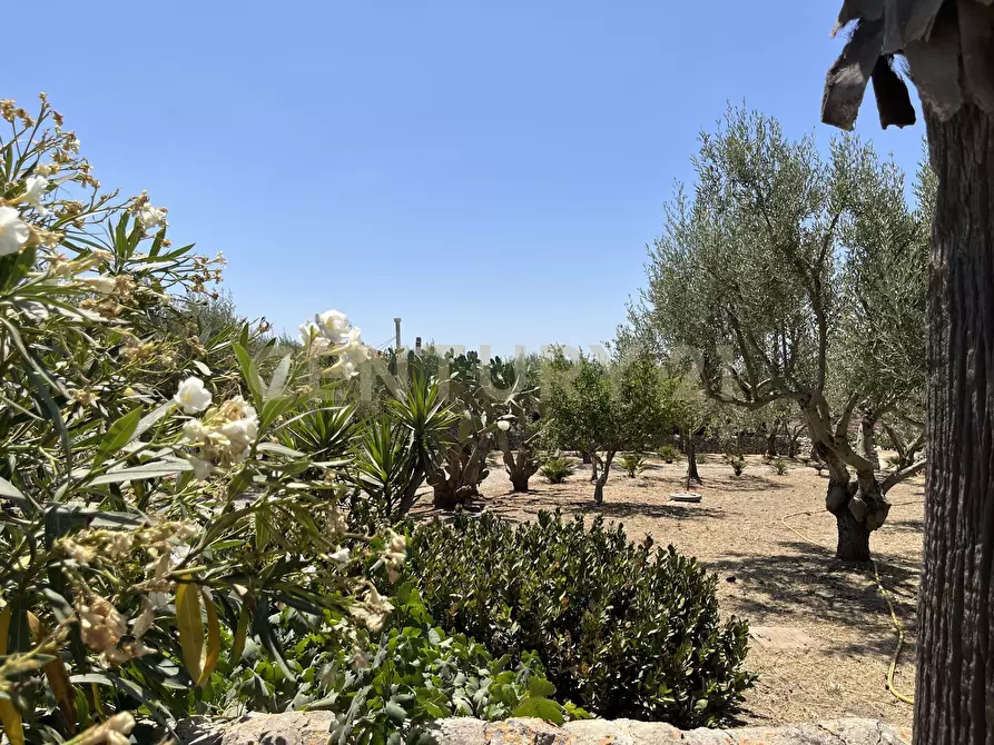 Immagine 4 di Villa in vendita  in Contrada Pirato Cava Maria 37 a Modica