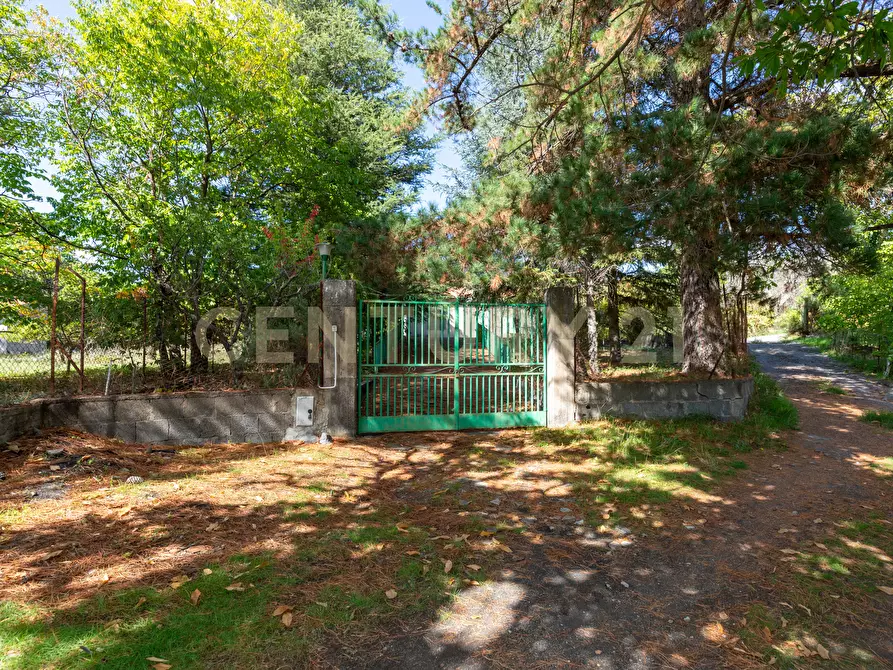 Immagine 2 di Villa in vendita  in Contrada Scolaro Cisterna a Adrano