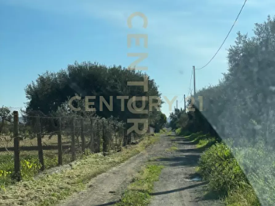 Immagine 4 di Terreno agricolo in vendita  in contrada agnelleria a Belpasso