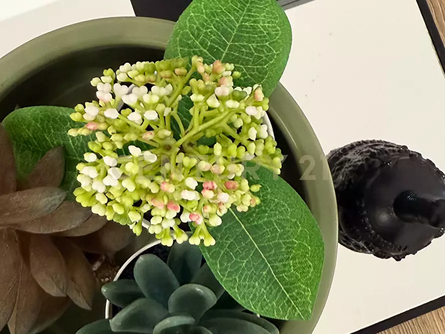 Immagine 57 di Appartamento in vendita  in Via Lampedusa a Roma