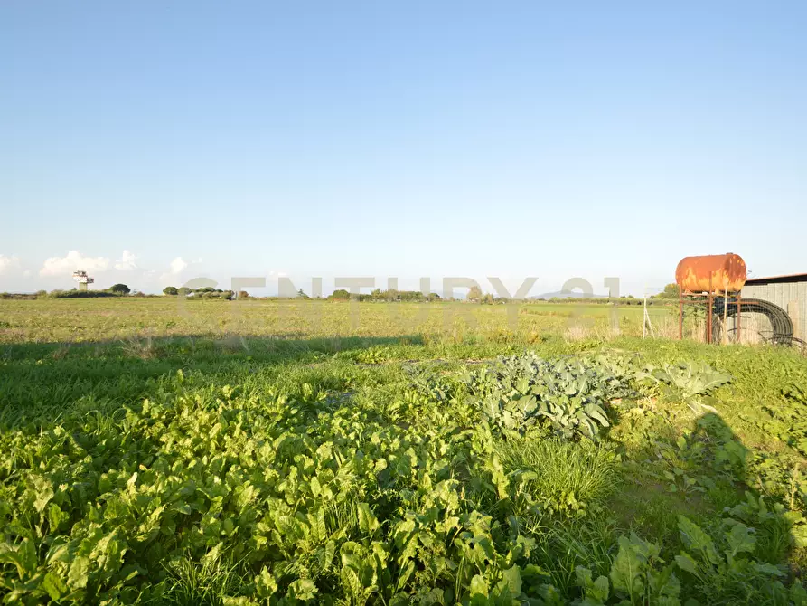 Immagine 6 di Terreno agricolo in vendita  in Strada del Querciolo 125 a Grosseto