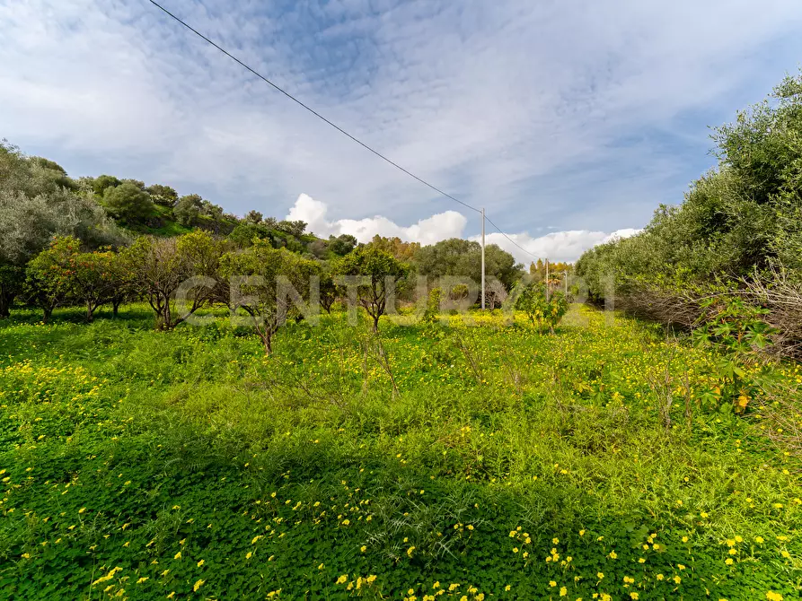 Immagine 3 di Terreno agricolo in vendita  in Contrada Vaccarizzo a Catania
