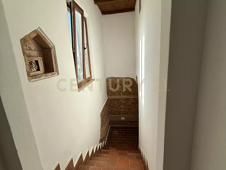 Immagine 36 di Pentalocale in vendita  in Strada della Principina 2 a Grosseto