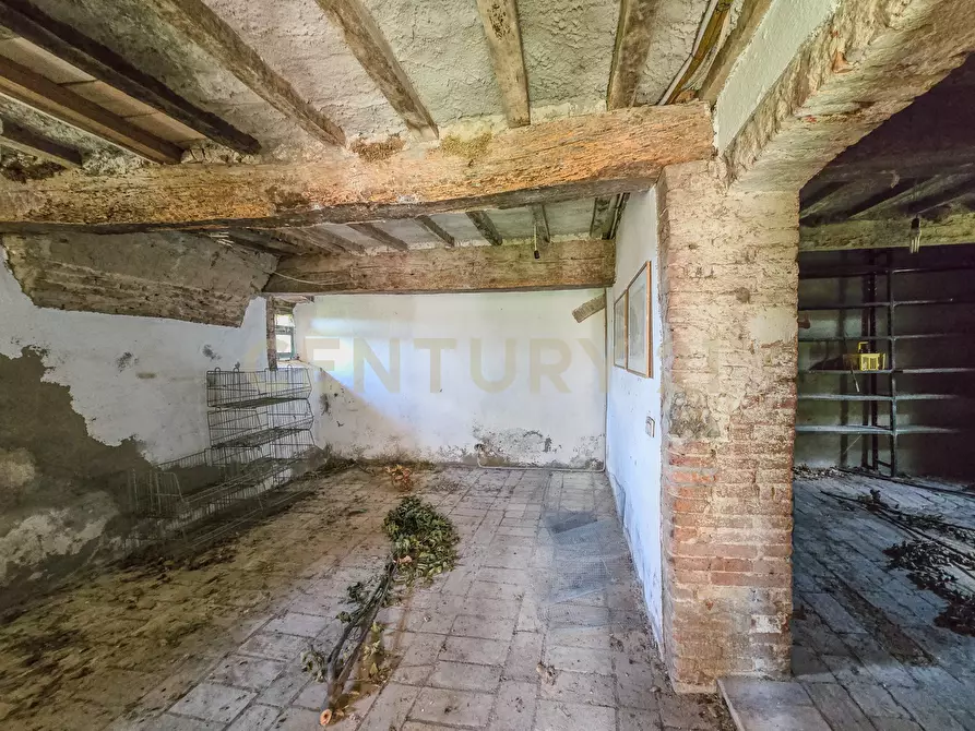 Immagine 26 di Rustico / casale in vendita  in Vial podere nuovo snc a Civitella Paganico