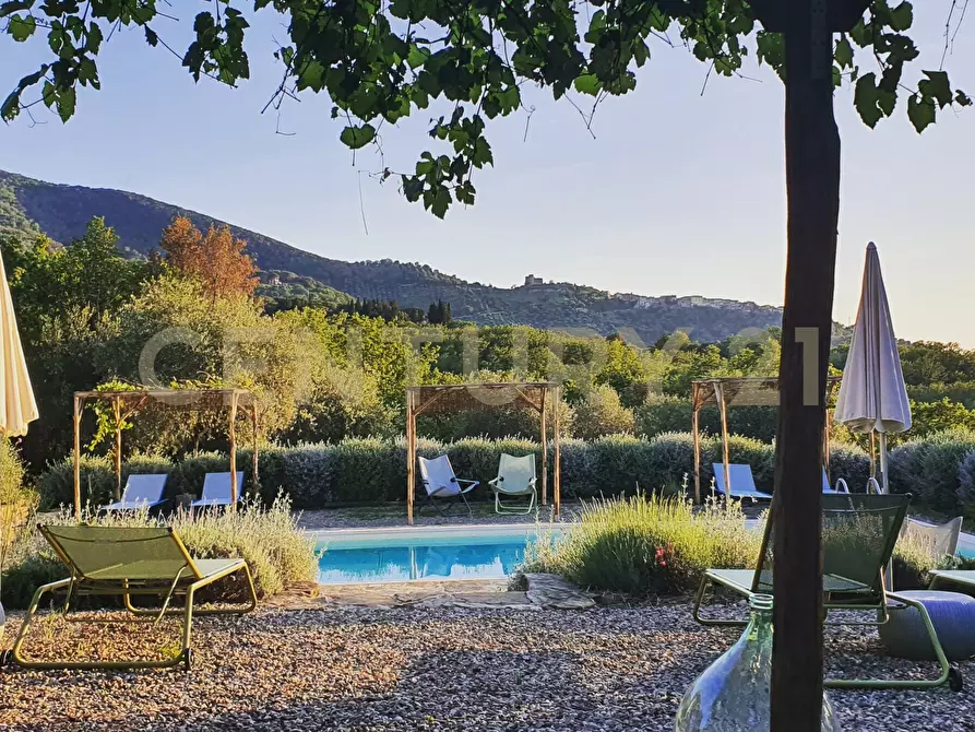 Immagine 12 di Rustico / casale in vendita  in località podere bizzarri a Scarlino