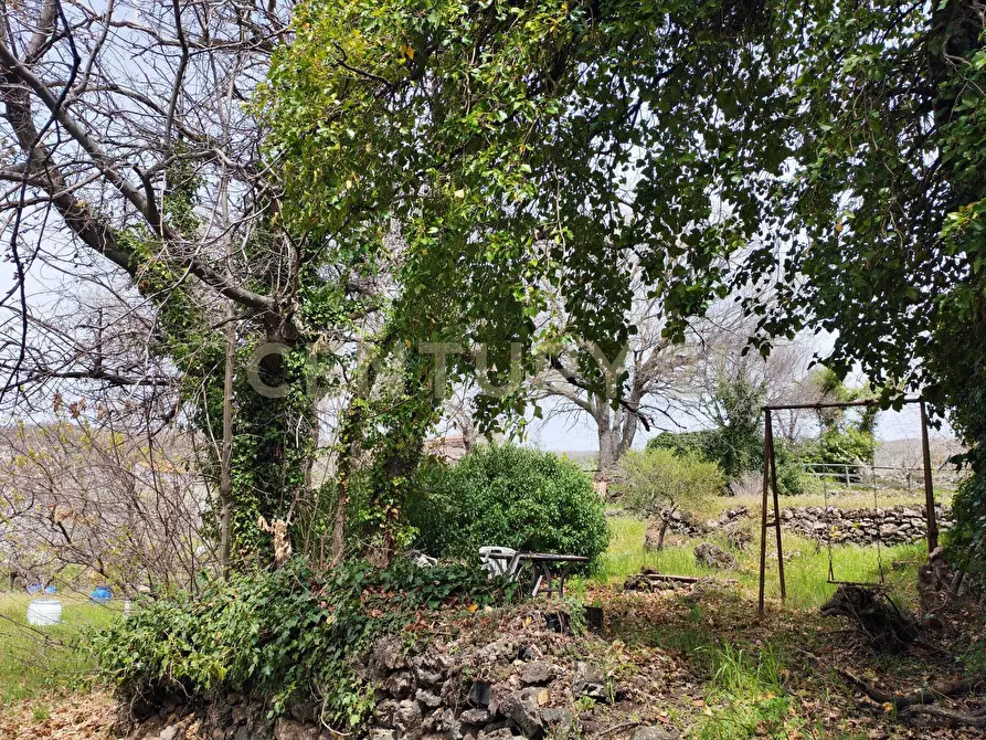 Immagine 23 di Terreno agricolo in vendita  in BIANCAVILLA a Catania