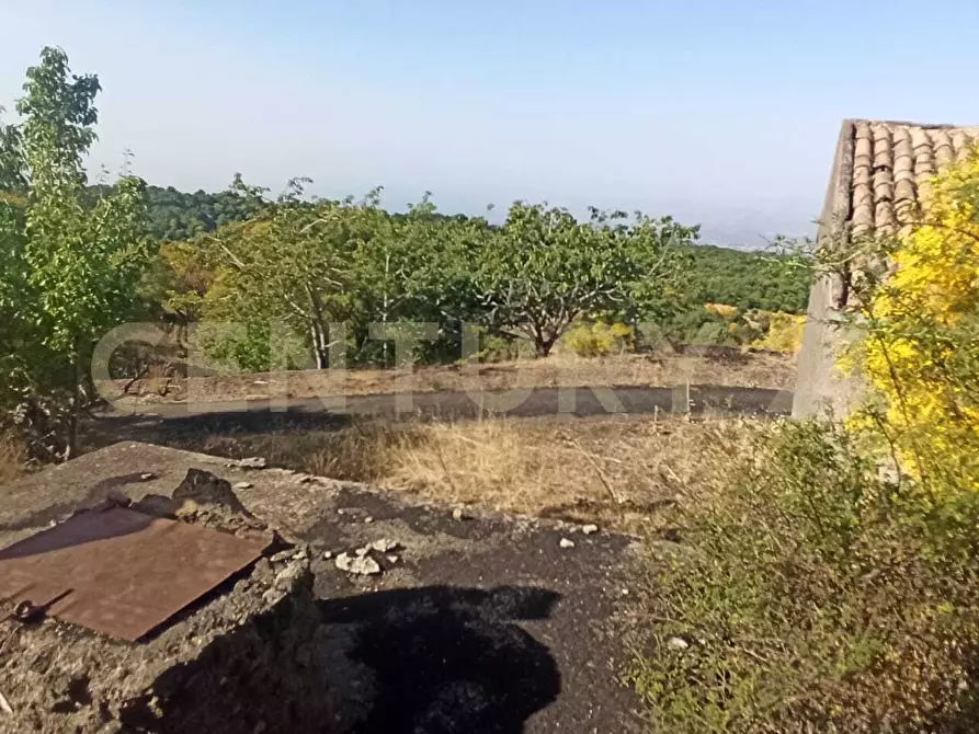 Immagine 30 di Terreno agricolo in vendita  in C.da Filiciusa a Biancavilla