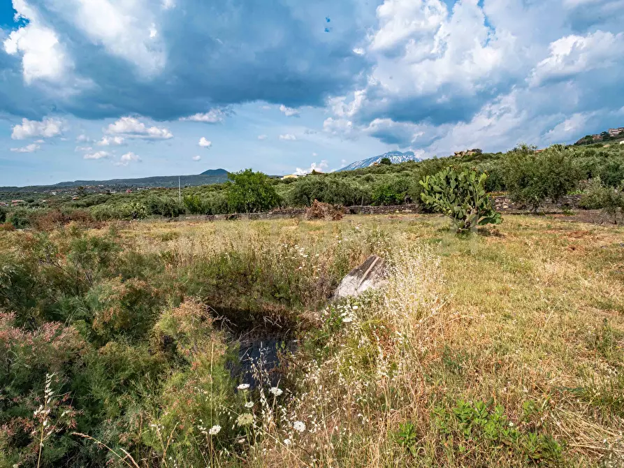 Immagine 47 di Terreno agricolo in vendita  in Via San Leo a Adrano