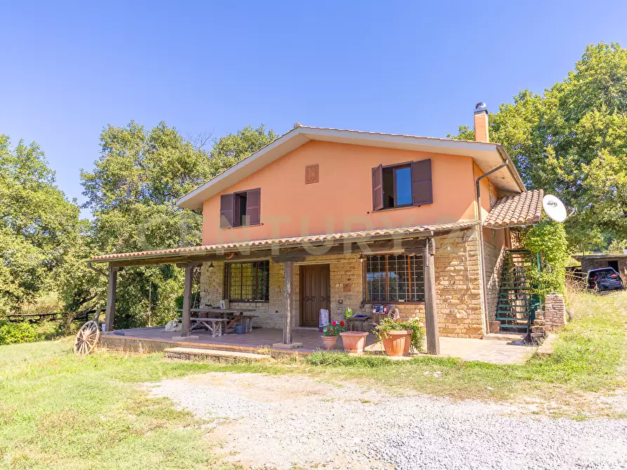 Immagine 5 di Rustico / casale in vendita  in località san quirichello a Barbarano Romano