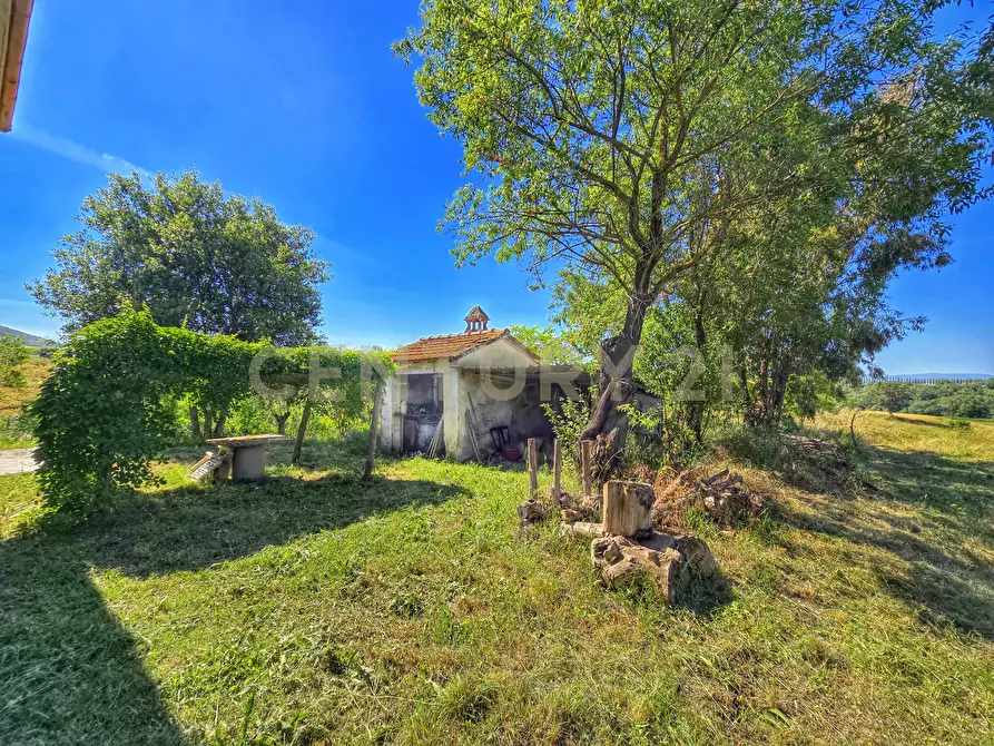 Immagine 7 di Rustico / casale in vendita  in Strada Provinciale Aquilaia a Scansano