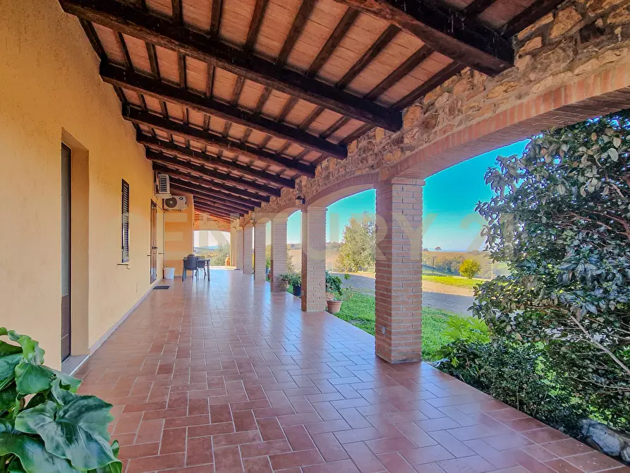 Immagine 25 di Rustico / casale in vendita  in Loc. Poderi di Montemerano a Manciano