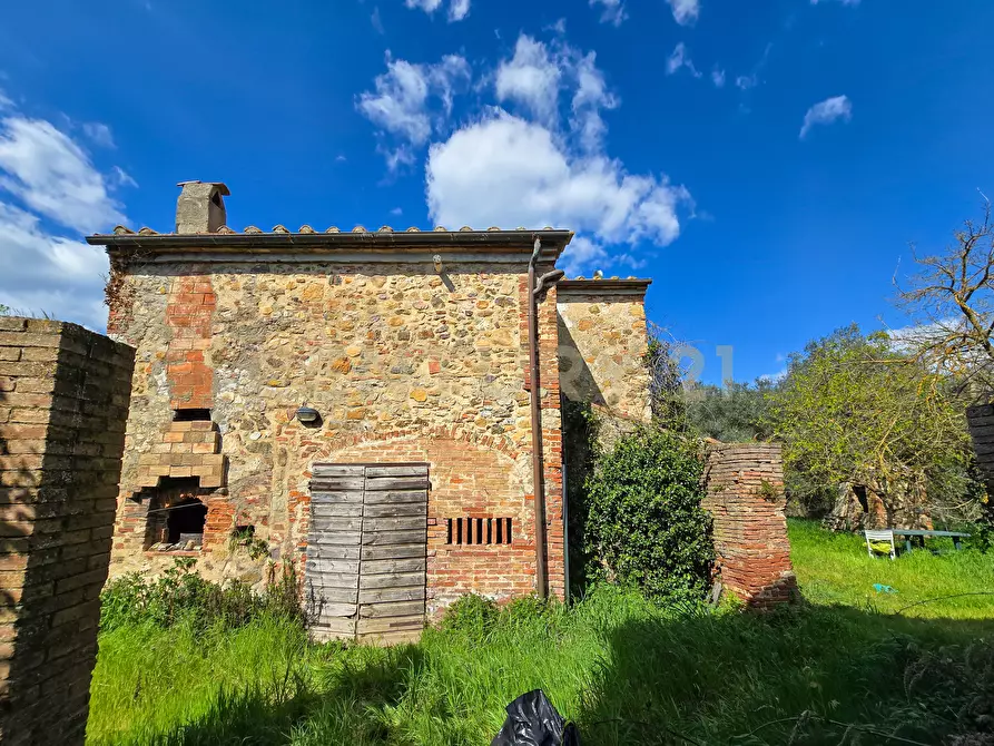 Immagine 29 di Rustico / casale in vendita  in Vial podere nuovo snc a Civitella Paganico