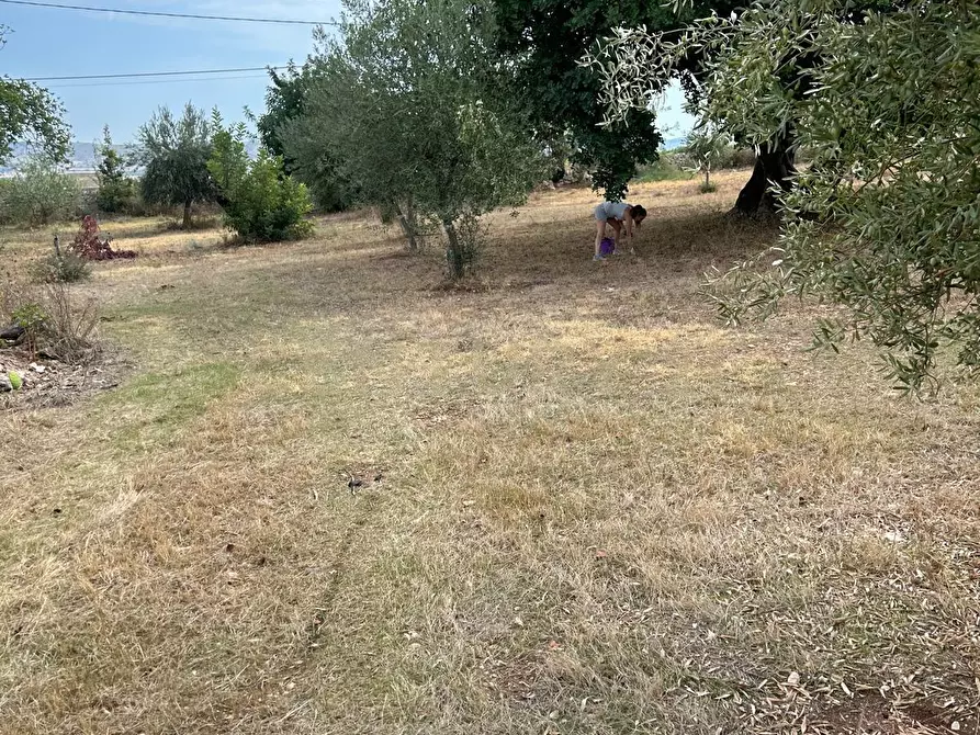 Immagine 41 di Rustico / casale in vendita  a Noto