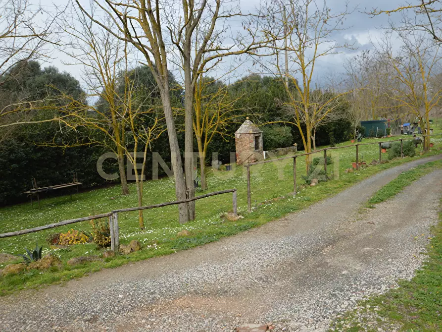 Immagine 3 di Rustico / casale in vendita  in Via Maria Alessandra Barbantini 8 a Grosseto