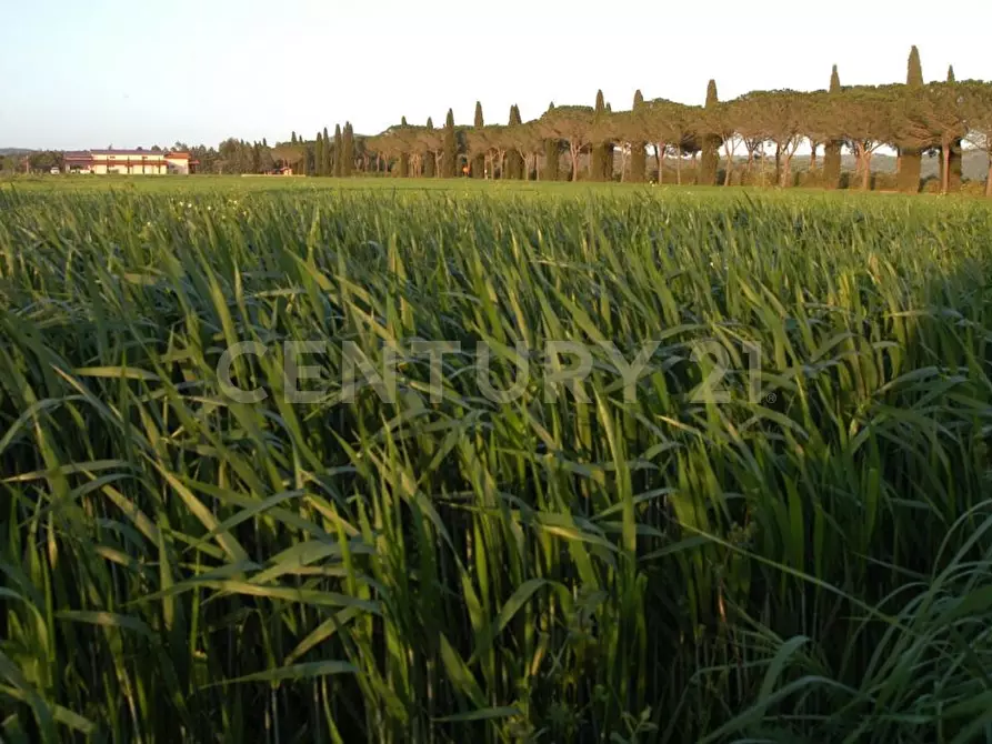Immagine 32 di Rustico / casale in vendita  a Grosseto