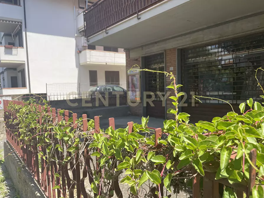 Immagine 4 di Locale commerciale in vendita  in Via Paolieri 18 a Orbetello