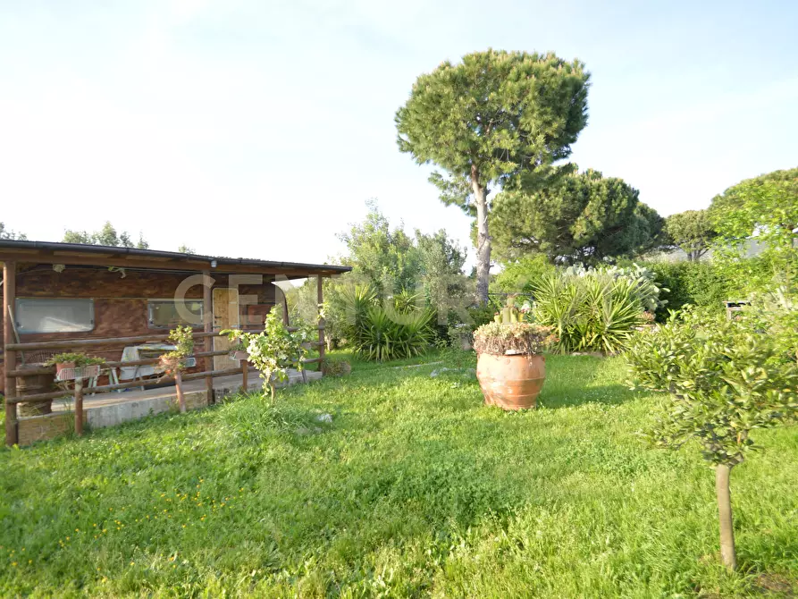 Immagine 28 di Terreno agricolo in vendita  in Loc. quattrostrade a Orbetello